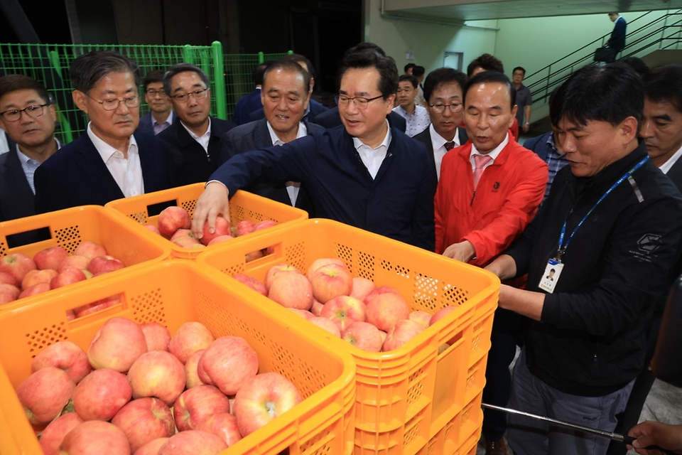 정황근 농림축산식품부 장관이 12일 충북 보은군 소재 과수 거점 산지유통센터를 방문, 사과 수확·선별·출하 현황 등 추석 성수품 수급 상황을 점검하고 있다.
