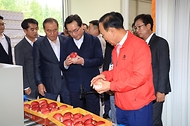 정황근 농림축산식품부 장관이 12일 충북 보은군 소재 과수 거점 산지유통센터를 방문, 사과 수확·선별·출하 현황 등 추석 성수품 수급 상황을 점검하고 있다.