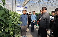 조재호 농촌진흥청장이 21일 경남 함안군 시설채소 재배 농가를 방문해 현장을 살펴보고 있다. 