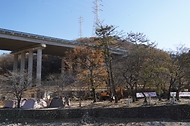 1일 울산 울주군 소나무재선충병 방제사업지에서 소나무재선충병 방제사업장 현장점검이 진행되고 있다.