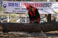 1일 울산 울주군 소나무재선충병 방제사업지에서 소나무재선충병 방제사업장 현장점검이 진행되고 있다.