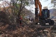 1일 울산 울주군 소나무재선충병 방제사업지에서 소나무재선충병 방제사업장 현장점검이 진행되고 있다.