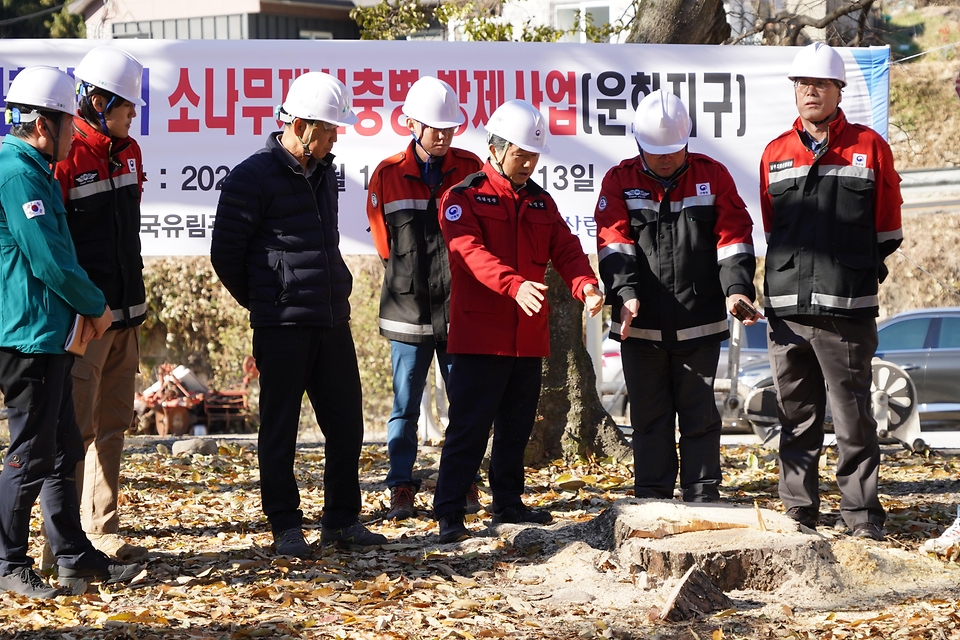 남성현 산림청장이 1일 울산 울주군 소나무재선충병 방제사업지를 방문해 관계자들과 방제 현황을 점검하고 있다.