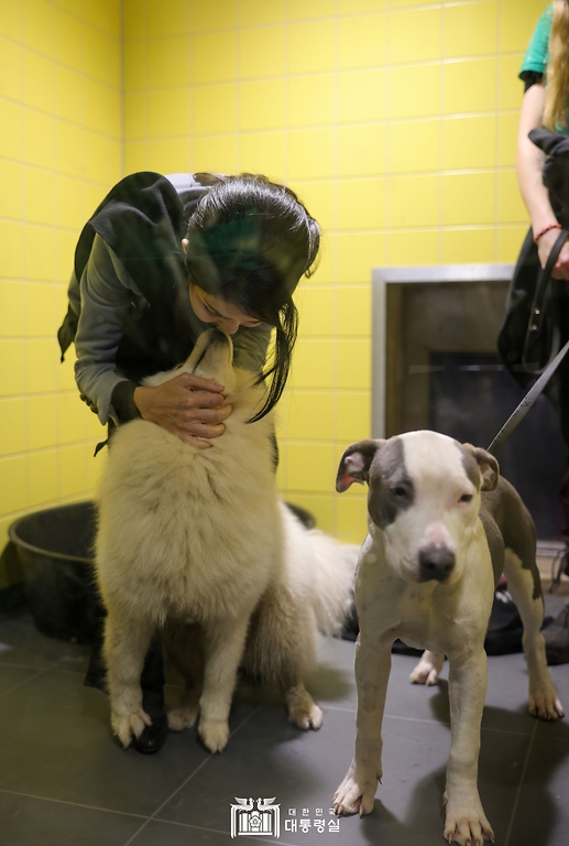 김건희 여사가 12일(현지시간) 네덜란드 암스테르담 동물보호재단을 방문해 보호 중인 강아지를 만지고 있다.