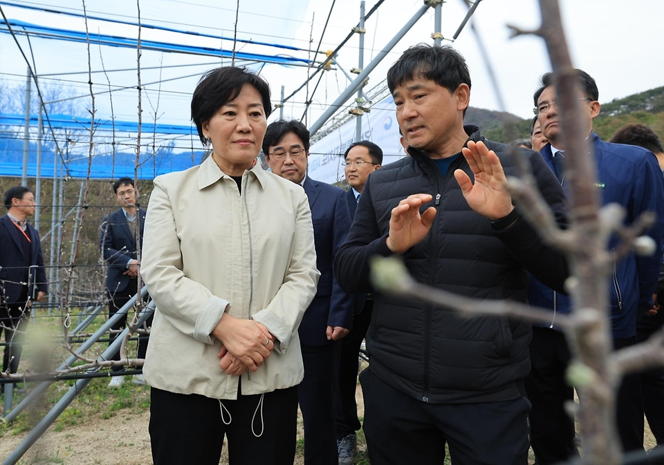 송미령 농림축산식품부 장관이 3일 강원도 춘천시 스마트 과수원 실증단지를 방문해 강원도 사과 산업 육성 방안을 점검하고 있다.