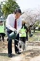 윤석열 대통령이 5일 부산 강서구 명지근린공원에서 열린 ‘제79회 식목일 기념행사’에서 미선나무 묘목을 심은 뒤 물을 주고 있다.