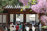 <p>12일 서울 중구 덕수궁에서 관람객들이 석어당을 관람하고 있다.&nbsp;</p>