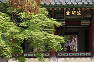 <p>12일 서울 중구 덕수궁에서 관람객들이 준명당을 관람하고 있다.&nbsp;</p>