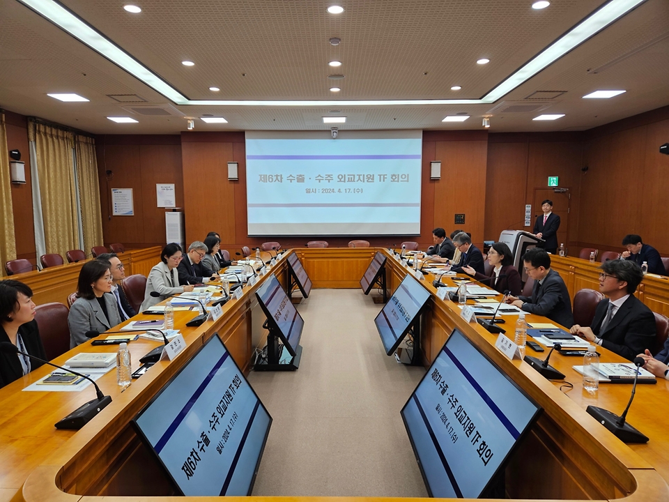 강인선 외교부 제2차관이 17일 서울 종로구 외교부 청사에서 ‘제6차 수출·수주 외교지원 TF 회의’를 주재하고 있다.