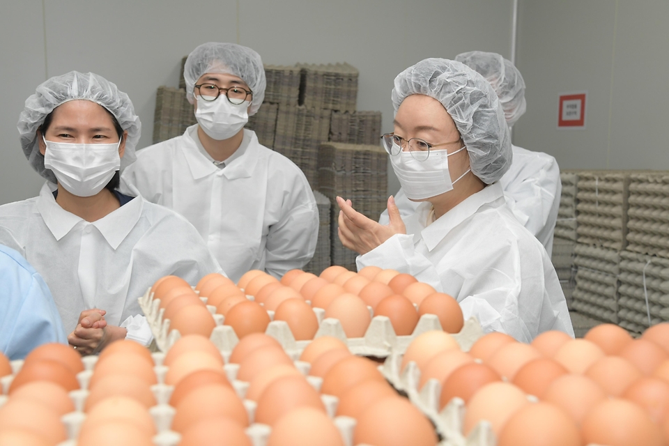 오유경 식품의약품안전처 처장이 8일 경기도 소재의 선유팜과 농업회사법인 해밀을 방문해 달걀의 생산부터 선별·포장까지 위생관리 현황을 점검하고 있다. 