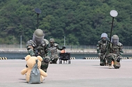 해병대 위험성폭발물개척팀이 22일 경남 창원시 진해해군기지에서 주관한 연합·합동 EOD 훈련에서 부두에서 발견된 의심물체를 식별하고 있다.