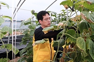 김민재 행정안전부 차관보가 23일 충남 부여군의 한 오이 농가를 찾아 행정안전부 직원 및 경찰 직장협의회 직원들과 수해복구 봉사활동을 하고 있다.