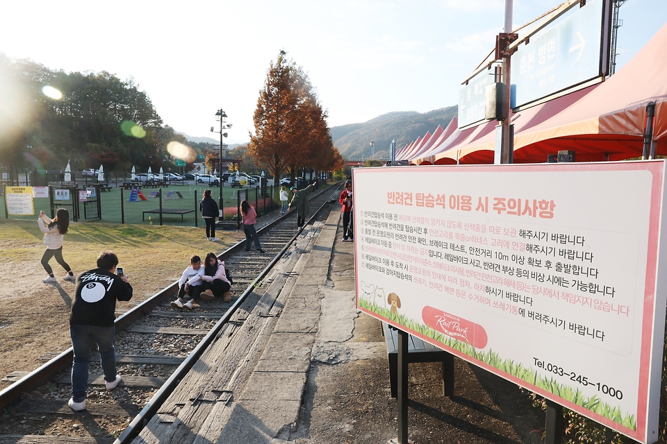 5일 경기 가평군 레일바이크에서 열린 ‘여행친구 여진구와 함께 떠나는 여행’ 참가자들이 기념 촬영을 하고 있다. 