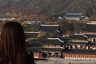 14일 서울 종로구 경복궁과 청와대 일대에 오색빛깔의 풍경이 펼쳐지고 있다.