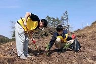 2025. 3. 26(수) 13:20 충청남도 공주시 일원에서 산업통상자원부 청년인턴 20여 명과 행정안전부 청년인턴 40여 명은 '온기나눔' 캠페인의 일환으로 나무 심기 봉사활동에 참여하였다.