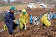 2025년 4월 5일 제80회 식목일 기념 나무심기 행사가 충남 공주시 의당면 증흥리 일원에서 열린 가운데 참가자들이 헛개나무를 심고 있다.