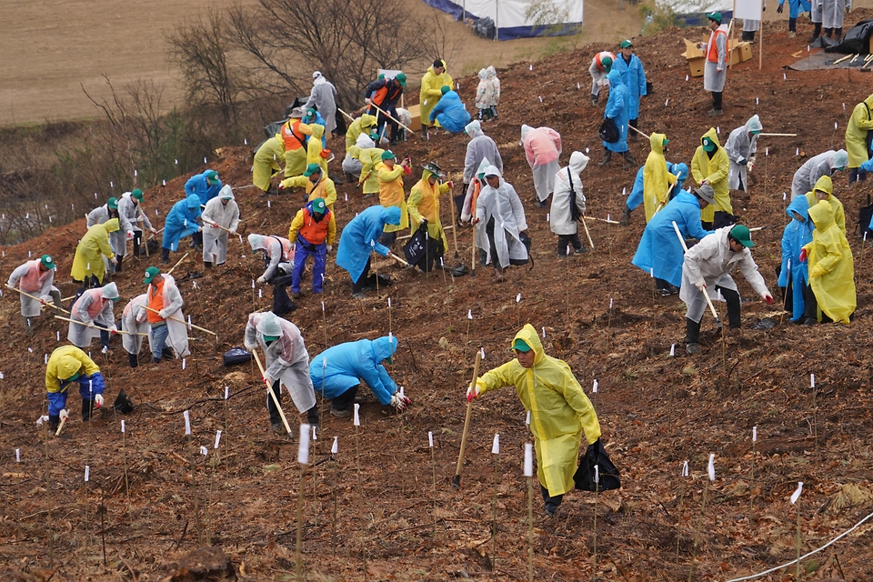 2025년 4월 5일 제80회 식목일 기념 나무심기 행사가 충남 공주시 의당면 증흥리 일원에서 열린 가운데 참가자들이 헛개나무를 심고 있다.