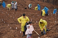2025년 4월 5일 제80회 식목일 기념 나무심기 행사가 충남 공주시 의당면 증흥리 일원에서 열린 가운데 참가자들이 헛개나무를 심고 있다.
