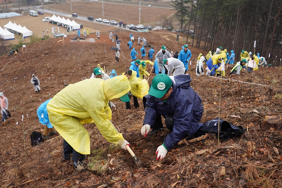 2025년 4월 5일 제80회 식목일 기념 나무심기 행사가 충남 공주시 의당면 증흥리 일원에서 열린 가운데 참가자들이 헛개나무를 심고 있다.