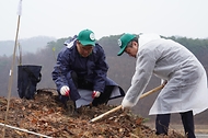 2025년 4월 5일 제80회 식목일 기념 나무심기 행사가 충남 공주시 의당면 증흥리 일원에서 열린 가운데 참가자들이 헛개나무를 심고 있다.