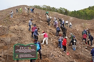 2025년 4월 23일 경기도 양평군 지평면에서 열린 '문학인과 함께하는 탄소중립 나무심기' 행사에서 참가자들이 백합나무를 심고 있다.