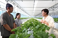 송미령 장관은 7.10(목) 전북 고창군의 공공형 계절근로 현장을 방문해 외국인 근로자의 농작업 안전관리 현황을 점검하고, 농촌 주민들이 이용하는 무더위 쉼터(면 마을회관)도 방문하였습니다. 이어서 상추재배 농가를 방문해 농작물 생육상황 등을 점검하였습니다.