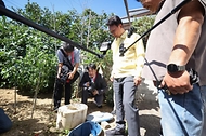 김민석 국무총리가 5일 강원 강릉시 교동 주택가에서 가뭄 관련 급수 현장 점검을 하고 있다.