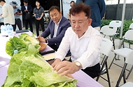이승돈 농촌진흥청장은 9월 16일 전북 남원의 준고랭지 여름배추 시범사업 재배지를 찾아 고온 경감 기술과 노동력 절감 기술이 종합적으로 투입된 현장 상황을 점검하고 농가 목소리를 들었다.