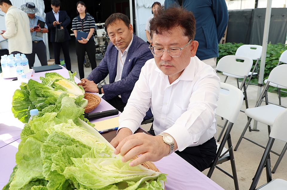 이승돈 농촌진흥청장은 9월 16일 전북 남원의 준고랭지 여름배추 시범사업 재배지를 찾아 고온 경감 기술과 노동력 절감 기술이 종합적으로 투입된 현장 상황을 점검하고 농가 목소리를 들었다.