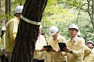 김인호 산림청장과 주낙영 경주시장이 2025년 10월 10일 아시아태평양경제협력체(APEC) 정상회의를 대비해 경주시 보문동 소나무재선충병 피해지 현장을 찾아 방제상황을 점검하고 있다.
