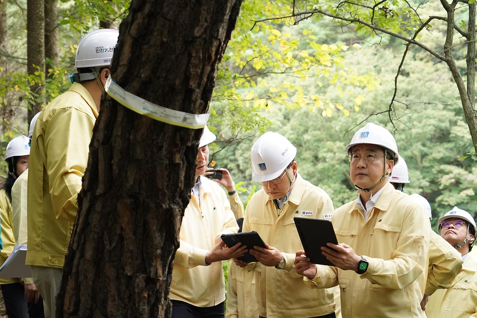 김인호 산림청장과 주낙영 경주시장이 2025년 10월 10일 아시아태평양경제협력체(APEC) 정상회의를 대비해 경주시 보문동 소나무재선충병 피해지 현장을 찾아 방제상황을 점검하고 있다.