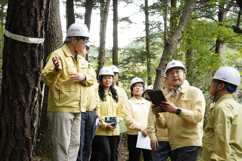 김인호 산림청장과 주낙영 경주시장이 2025년 10월 10일 아시아태평양경제협력체(APEC) 정상회의를 대비해 경주시 보문동 소나무재선충병 피해지 현장을 찾아 방제상황을 점검하고 있다.