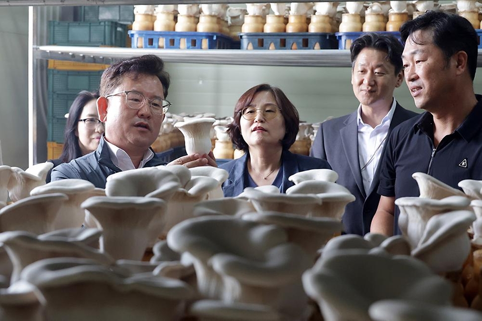 이승돈 농촌진흥청장이 9월 22일 전북특별자치도 김제시 죽산면 논콩 생산단지와 충북 음성군 생극면에 있는 버섯재배 농업회사법인을 차례로 방문해 작황을 점검하고, 현장 농업인과 소통했다. 