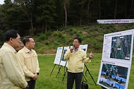 김인호 산림청장과 주낙영 경주시장이 2025년 10월 10일 아시아태평양경제협력체(APEC) 정상회의를 대비해 경주시 보문동 소나무재선충병 피해지 현장을 찾아 방제상황을 점검하고 있다.