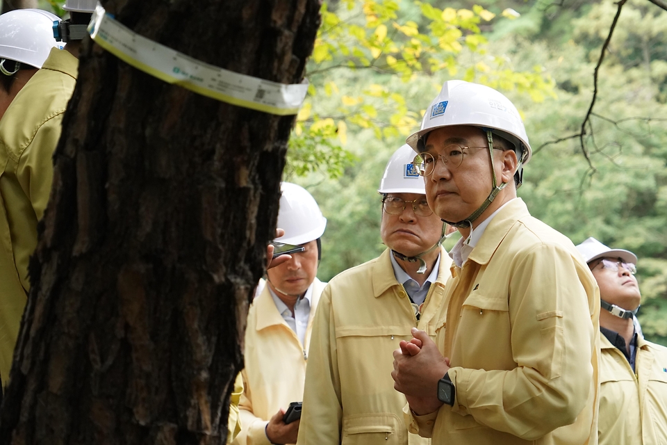 김인호 산림청장과 주낙영 경주시장이 2025년 10월 10일 아시아태평양경제협력체(APEC) 정상회의를 대비해 경주시 보문동 소나무재선충병 피해지 현장을 찾아 방제상황을 점검하고 있다.