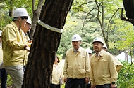 김인호 산림청장과 주낙영 경주시장이 2025년 10월 10일 아시아태평양경제협력체(APEC) 정상회의를 대비해 경주시 보문동 소나무재선충병 피해지 현장을 찾아 방제상황을 점검하고 있다.