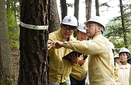 김인호 산림청장과 주낙영 경주시장이 2025년 10월 10일 아시아태평양경제협력체(APEC) 정상회의를 대비해 경주시 보문동 소나무재선충병 피해지 현장을 찾아 방제상황을 점검하고 있다.