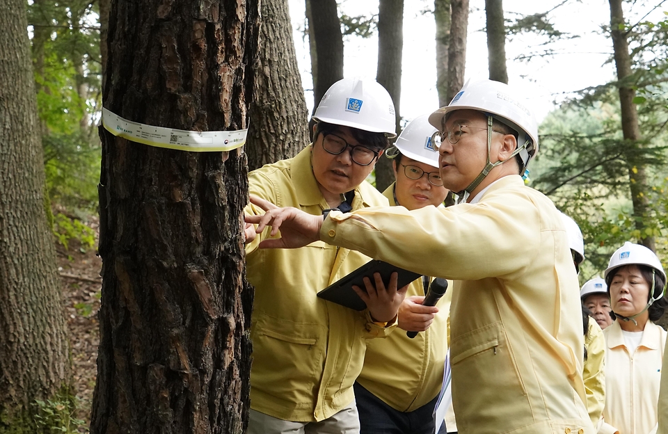 김인호 산림청장과 주낙영 경주시장이 2025년 10월 10일 아시아태평양경제협력체(APEC) 정상회의를 대비해 경주시 보문동 소나무재선충병 피해지 현장을 찾아 방제상황을 점검하고 있다.