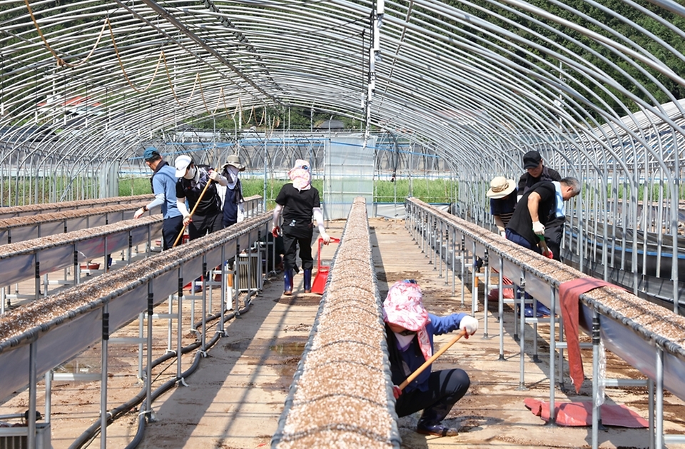 안준호 행정안전부 지방자치인재개발원 원장과 장기교육생 100여 명이 27일 오전 경상남도 산청군을 방문하여 수해복구 자원봉사 활동을 하고 있다.