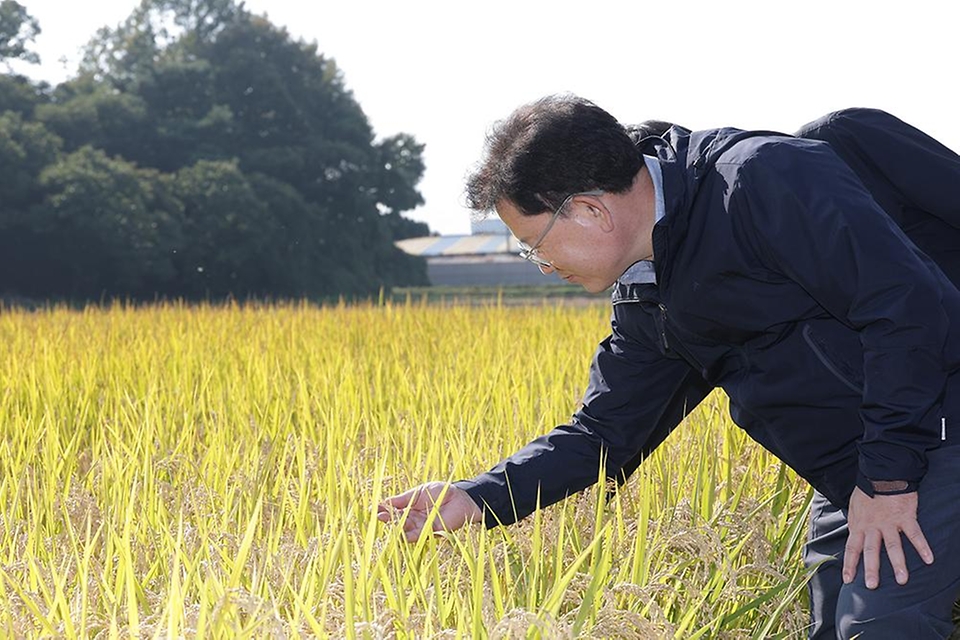 이승돈 농촌진흥청장은 10월 29일 충남 공주시 의당면 일대 벼 수확 현장을 찾아 농업인을 격려하고, 벼 품질 향상을 위한 수확 관리 사항을 당부했다.