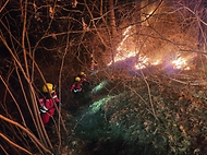 김인호 산림청장이 2025년 11월 21일 강원도 인제군 기린면 산불현장에서 산불진화대원을 격려하고 있다.