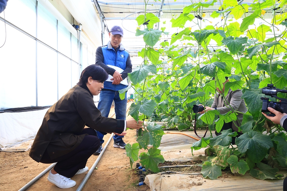 송미령 농림축산식품부 장관이 3월 19일 경기도 평택에 위치한 농협 알뜰주유소를 방문해 면세유 사용 현장 및 봄철 주요 시설 과채류 생육상황도 점검하고 있다.