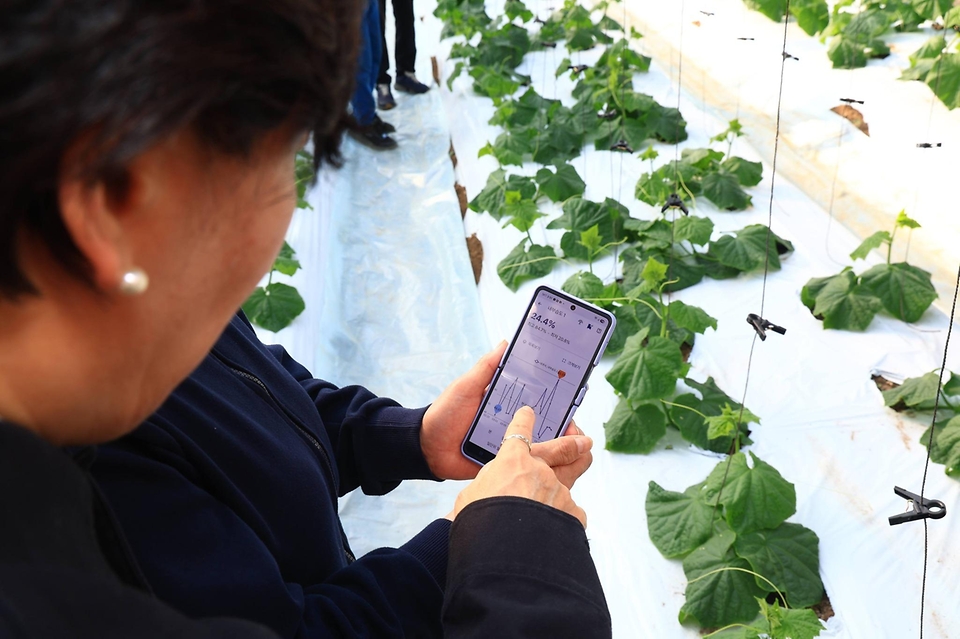 송미령 농림축산식품부 장관이 3월 25일 강원도 영월을 방문, '농업·농촌 인공지능 대전환(AX) 전략'의 첫걸음으로 생산부터 유통까지 AI가 접목된 현장을 직접 찾아 농업인, 관계자들과 함께 지금까지의 성과를 점검하고, 앞으로 나아갈 방향에 대해 함께 논의하고 있다.