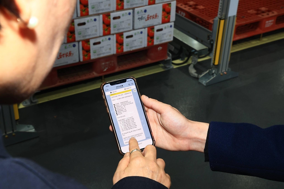 송미령 농림축산식품부 장관이 3월 25일 강원도 영월을 방문, '농업·농촌 인공지능 대전환(AX) 전략'의 첫걸음으로 생산부터 유통까지 AI가 접목된 현장을 직접 찾아 농업인, 관계자들과 함께 지금까지의 성과를 점검하고, 앞으로 나아갈 방향에 대해 함께 논의하고 있다.