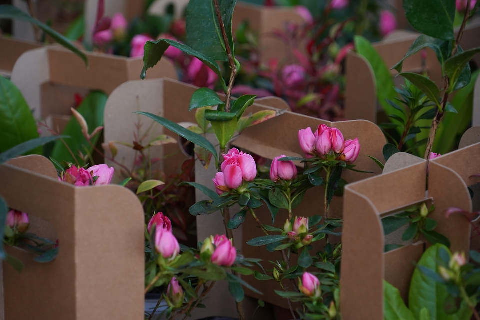 박은식 산림청장이 3월 25일 서울 중구 문화일보 사옥에서 열린 '2026 산림청과 문화일보가 함께하는 내나무 갖기 행사'에서 이병규 문화일보 회장과 함께 시민들에게 묘목을 나눠주고 있다.