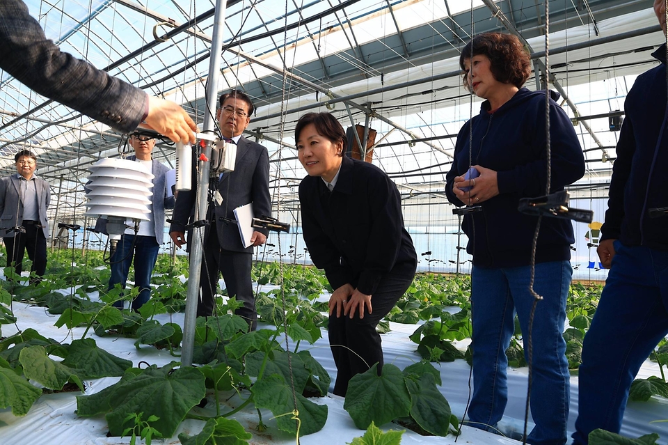 송미령 농림축산식품부 장관이 3월 25일 강원도 영월을 방문, '농업·농촌 인공지능 대전환(AX) 전략'의 첫걸음으로 생산부터 유통까지 AI가 접목된 현장을 직접 찾아 농업인, 관계자들과 함께 지금까지의 성과를 점검하고, 앞으로 나아갈 방향에 대해 함께 논의하고 있다.