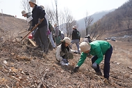 박은식 산림청장이 3월 28일 경북 안동시 풍천면 산불피해지에서 열린 '2026 신혼부부 나무심기'에서 참가자들과 나무를 심고 있다.