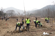 3월 27일 경기도 용인시 처인구에서 열린 '탄소흡수원 확충을 위한 민간참여 나무심기'에서 참가자들이 나무를 심고 있다.