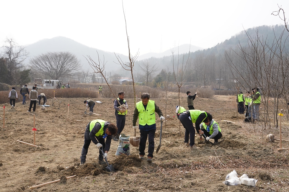 3월 27일 경기도 용인시 처인구에서 열린 '탄소흡수원 확충을 위한 민간참여 나무심기'에서 참가자들이 나무를 심고 있다.