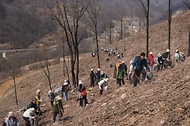 박은식 산림청장이 3월 28일 경북 안동시 풍천면 산불피해지에서 열린 '2026 신혼부부 나무심기'에서 참가자들과 나무를 심고 있다.